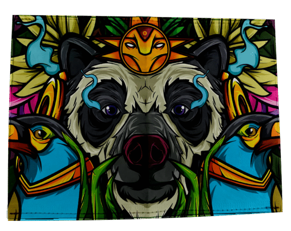 Oso Andino PS