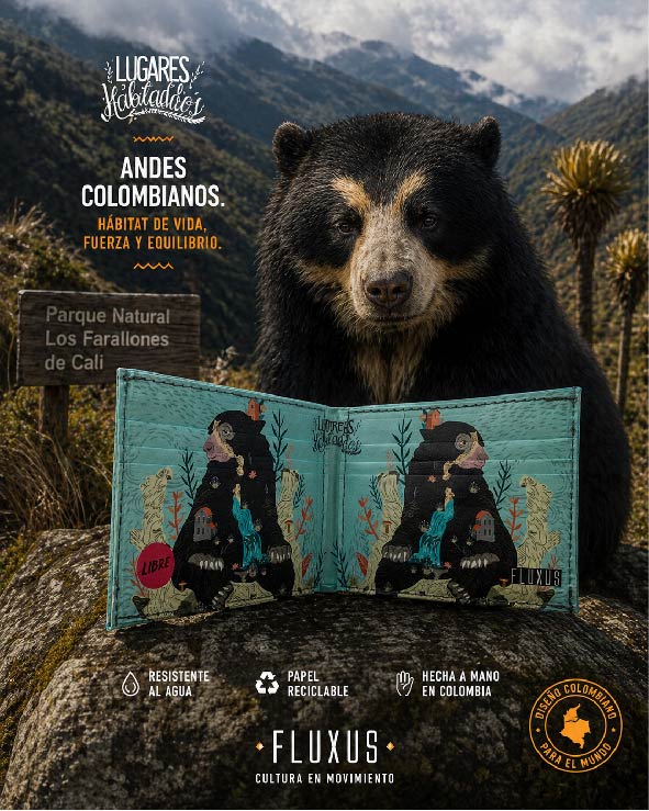 Oso de anteojos